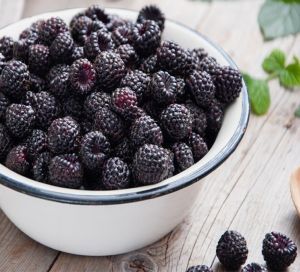 Blackberry