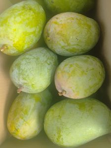 Fresh Mango