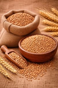 Organic Khapli Wheat