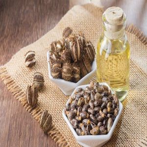 Deodorized Castor Oil