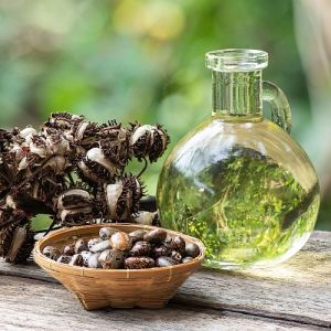 Organic Castor Oil