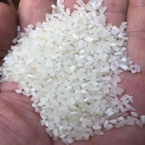 100% Broken Non Basmati Rice
