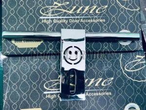 Stainless Steel Smile Cut Designer Door Aldrop