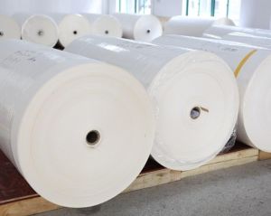 Food Grade Ogr Printing Paper