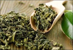 Export Quality Green Tea Leaves