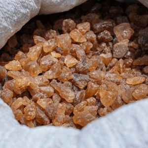 Giri Paul Palm Candy