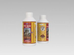 Brown Palm Candy