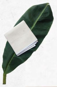 Banana Fiber Twill Weave Fabric