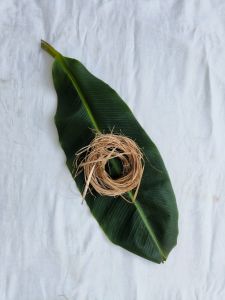 Raw Banana Fiber