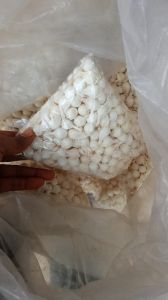Artificial White Mogra Buds