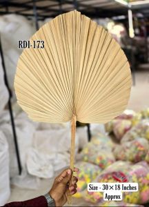 Natural Dried Palm Leaf