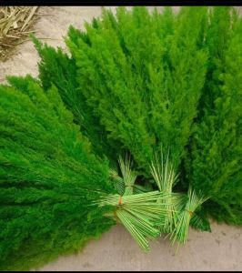 Green Artificial Pampas Grass