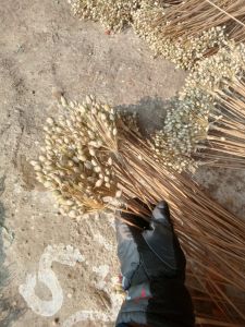 decorative white artificial stem flower bud
