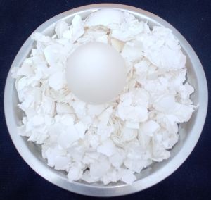 white egg shell