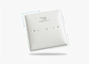 5 X 5 Inch Square Plate