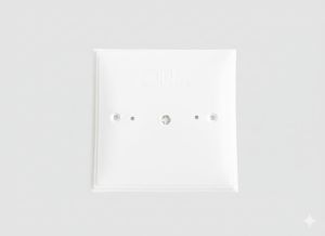 5 X 5 Inch Square Plate