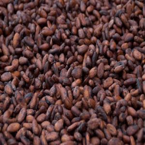 Chocolate Cocoa Beans