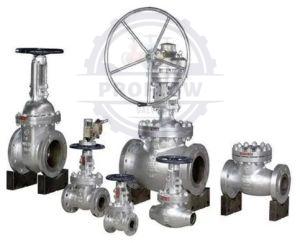 2 X 72 Cm Audco Gate Valve