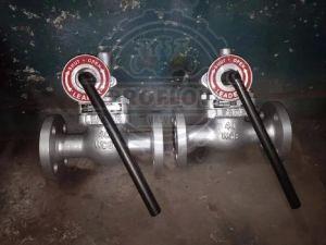 4 Inch Blow Down Valve