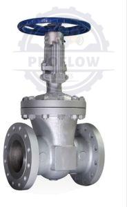 900 Class Gate Valve