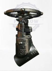 Alloy Steel Y Type Globe Valve
