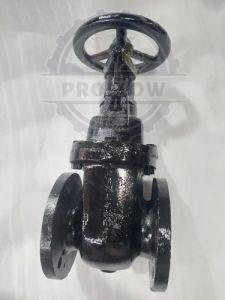 Kirloskar Cast Iron Sluice Valve