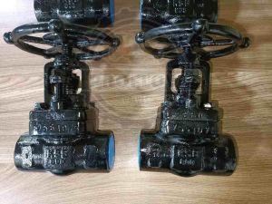Ksb Forged Steel Globe Valve