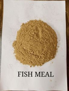 Dry Fish Meal