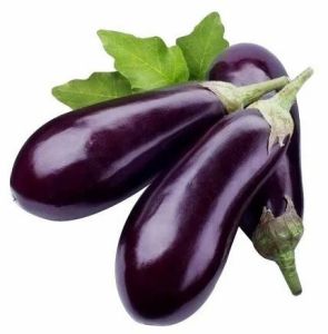 A Grade Fresh Purple Brinjal