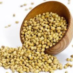 Coriander Seeds