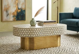 Bone Inlay Oval Shape Coffee Table