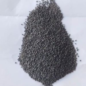 Organic Basil Seed