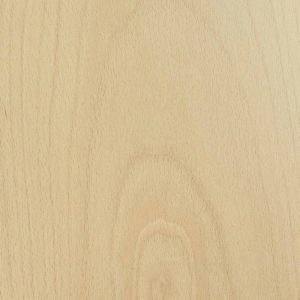 Steam Beech Wood