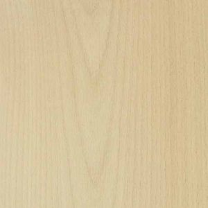 Steam Beech Wood