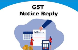 GST Notice Reply Work Services
