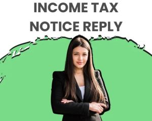 Income Tax Notice Reply Services