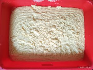 Fresh Sweetened Milk Khoya