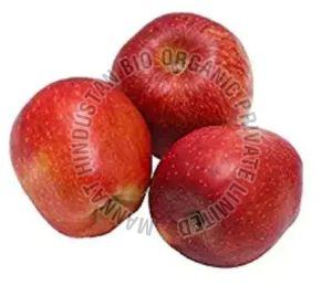 A Grade Fresh Organic Apple