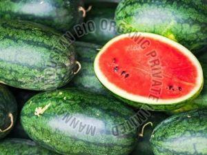 A Grade Fresh Organic Watermelon