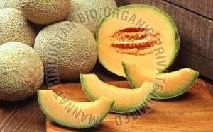A Grade Honeydew Melon