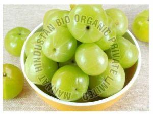 A Grade Organic Fresh Amla