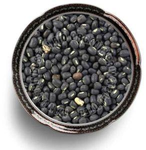 Organic Black Lentil