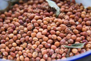 Organic Pigeon Peas Seeds