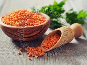 Organic Red Split Masoor Dal
