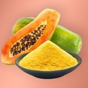 Spray Dried Papaya Powder