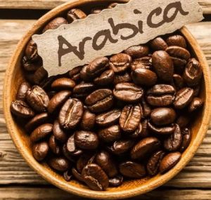 Arabica Coffee Beans