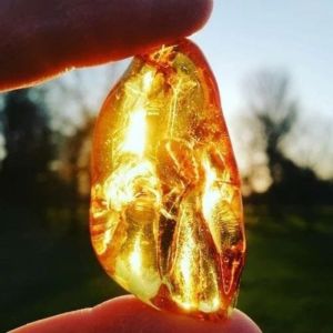 Natural Amber Decorative Stone