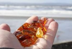 Natural Amber Nugget Stone