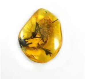 Natural Baltic Amber Rough Stone