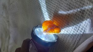 Natural Amber Rough Raw Stone